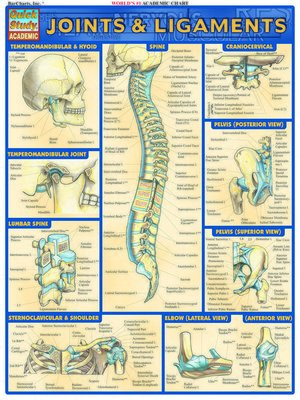 cover image of Joints & Ligaments